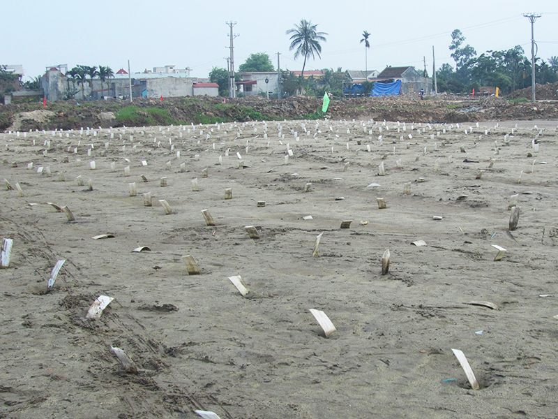   Bấc Thấm PVD:  Khái niệm,đặc tính, kinh nghiệm và báo giá 2023